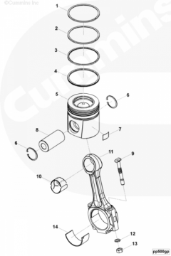  Cummins Кольцо поршневое маслосъемное