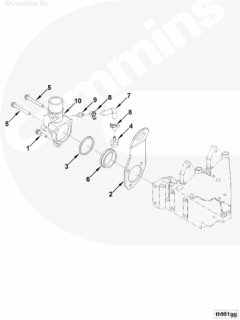  Cummins Кольцо уплотнительное корпуса термостата