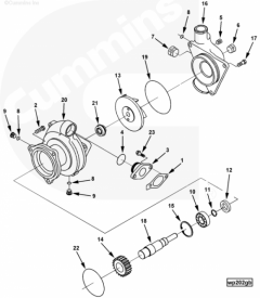  Cummins Прокладка насоса водяного
