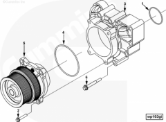  Cummins Насос водягой (помпа)
