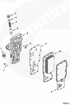 Cummins Прокладка маслоохладителя (теплообменника)