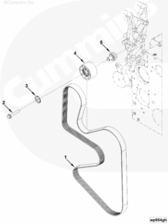  Cummins Ремень 8PK1816
