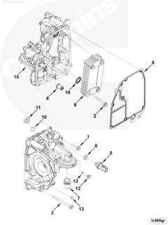  Cummins Болт крепления масляного охладителя