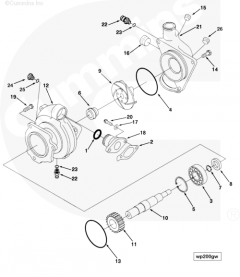  Cummins Насос водяной (помпа)