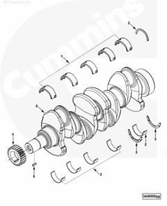  Cummins Вкладыш коренной коленвала нижний