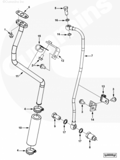  Cummins Хомут трубки слива масла с турбины