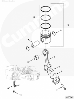  Cummins Вкладыш шатунный верхний ремонтный (0,25 mm)