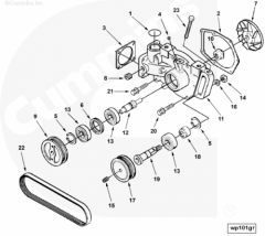  Cummins Сальник вала водяного насоса
