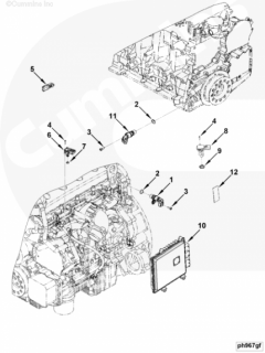  Cummins Датчик положения коленвала