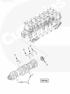 Cummins Вкладыш коренной коленвала нижний