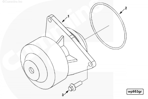  Cummins  Кольцо уплотнительное водяной помпы